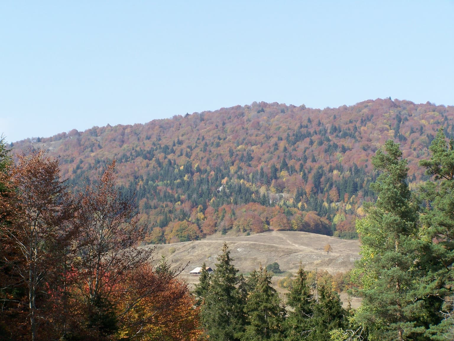 Wide landscape view of forested hills with autumn foliage, showing green, red, and orange trees under a clear blue sky