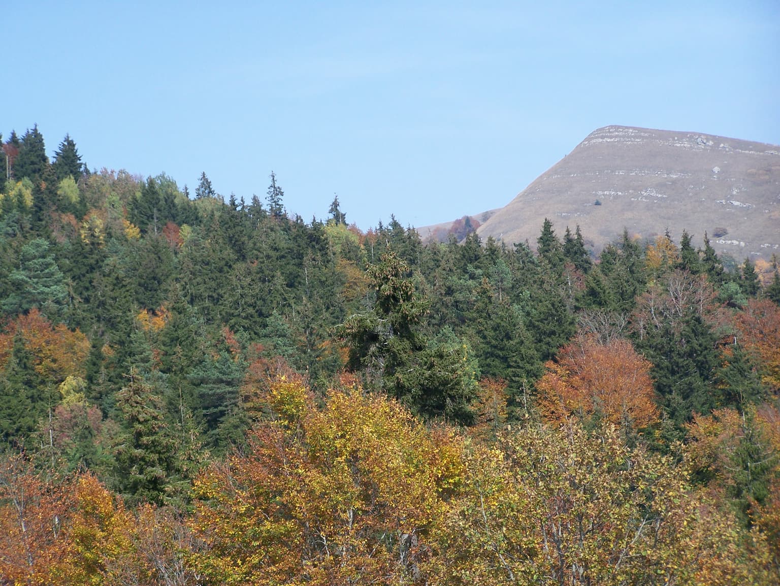 A landscape view of Algeti National Park featuring mixed forest with autumn-colored trees and a mountain in the background under a clear blue sky