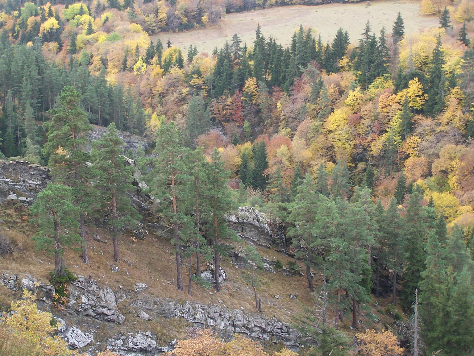 Wide landscape view of a forested valley with autumn-colored trees, rocky outcrops, and rolling hills.