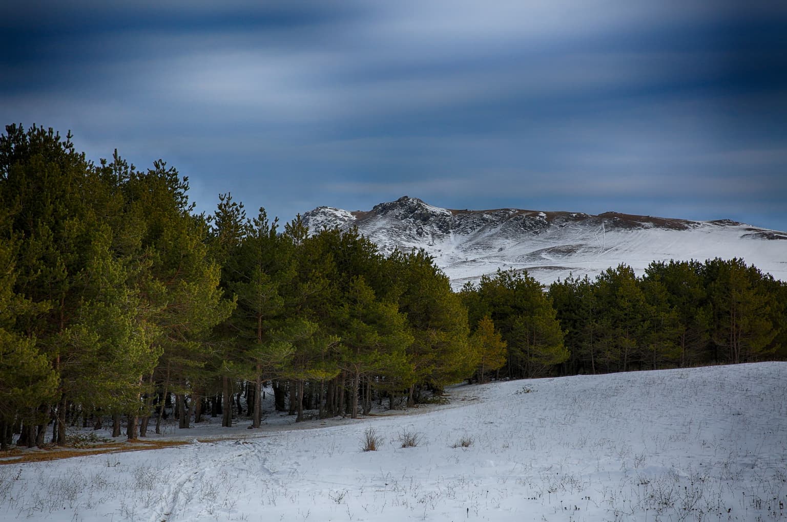Snow-covered field with forest of evergreen trees and snow-capped mountains under a cloudy sky
