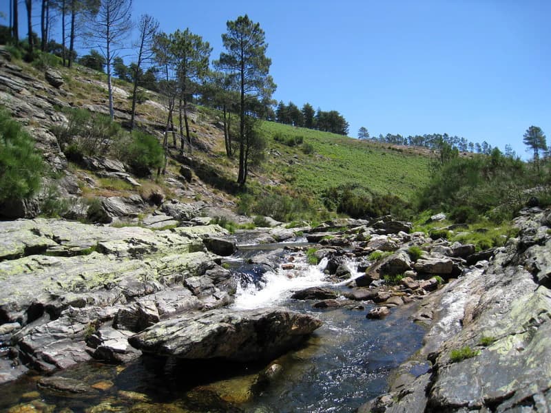 A river with a small waterfall cascading over rocks, surrounded by green hills and trees under a clear blue sky.