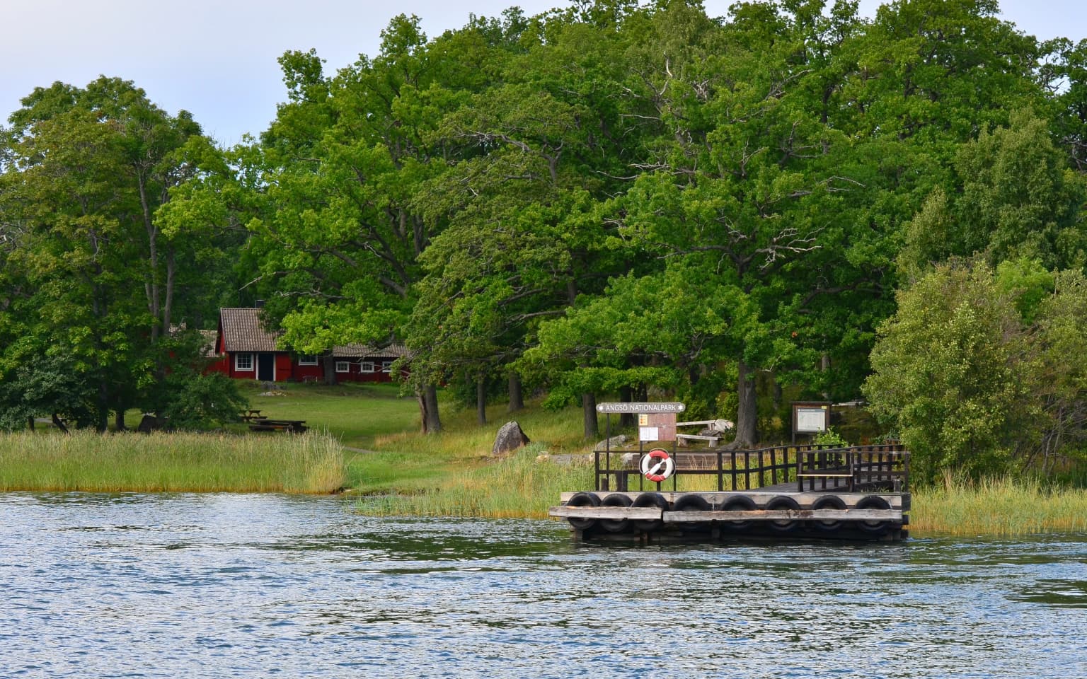 Wooden pier with tire fenders extending into calm water, surrounded by lush green trees and a red building on the shore