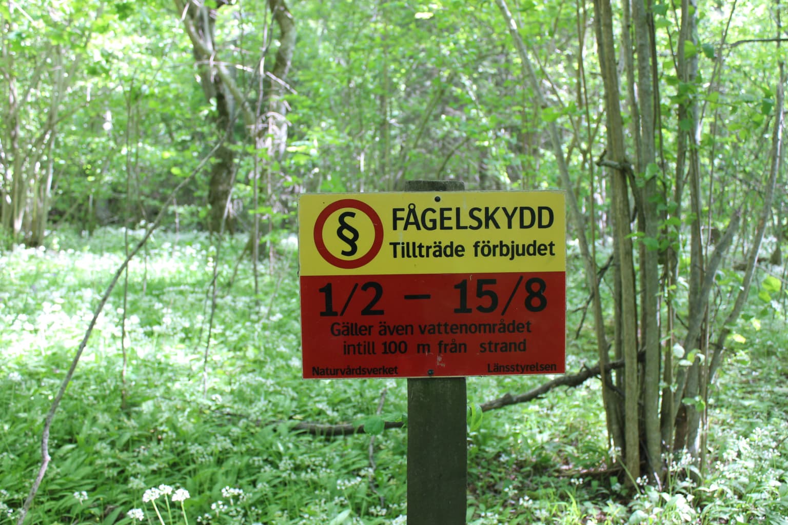 Yellow and red sign with Swedish text prohibiting entry to Ängsö National Park during specific dates, set in a forested area