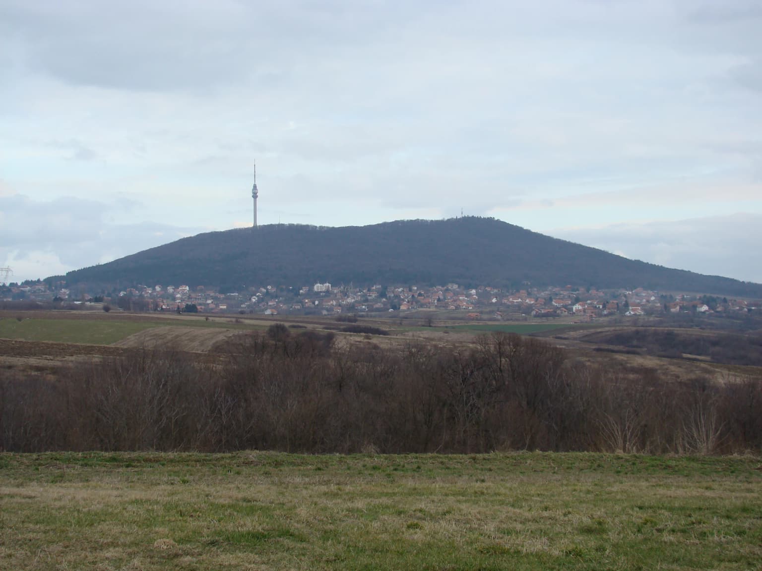 Grassy field in the foreground, forested midground, and Mount Avala with a tall tower in the background under a cloudy sky