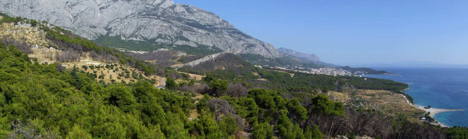 Panoramic landscape of Biokovo Nature Park showing rugged mountains, dense forests, and the Adriatic Sea under a clear blue sky