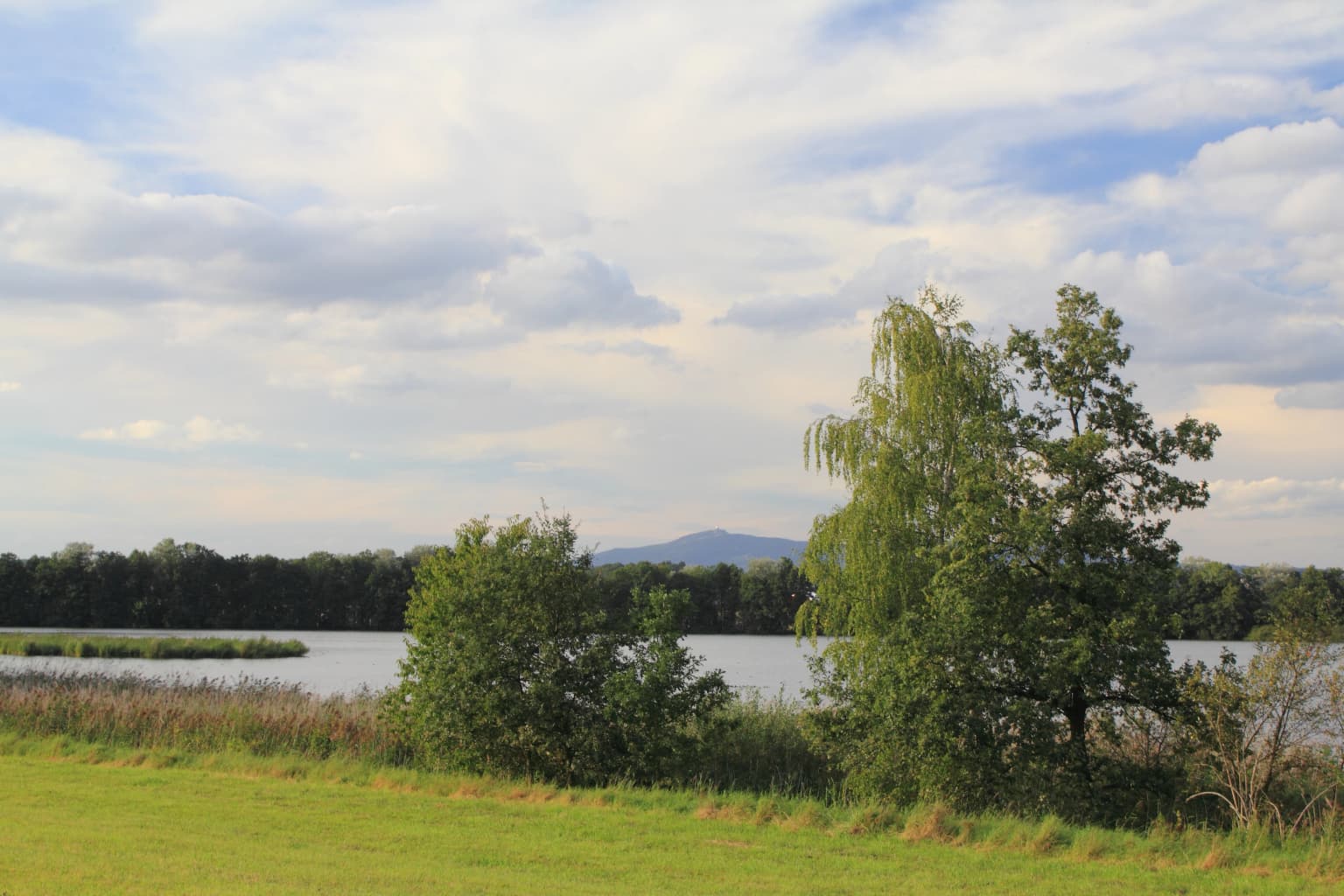 Grassy field with trees and a pond in the background under a partly cloudy sky