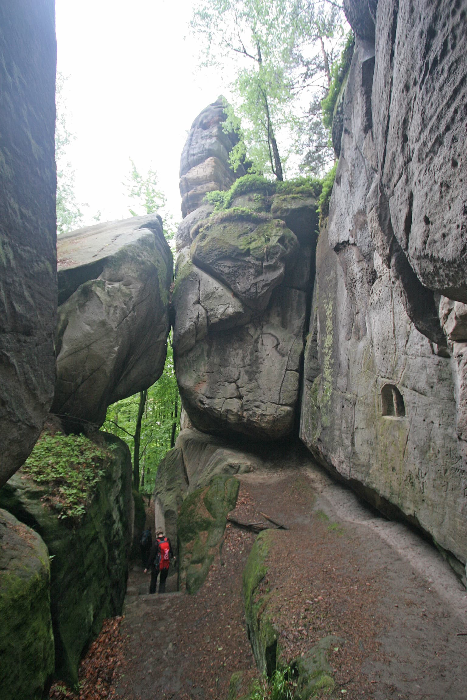 A narrow trail between large sandstone rock formations with a hiker in a red jacket walking through the passage, surrounded by green vegetation and trees