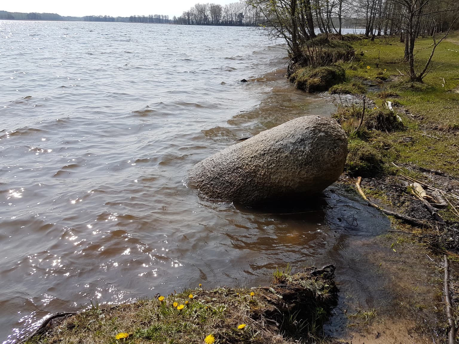 Large boulder partially submerged in a lake with gentle waves, grassy shore, and trees in the background