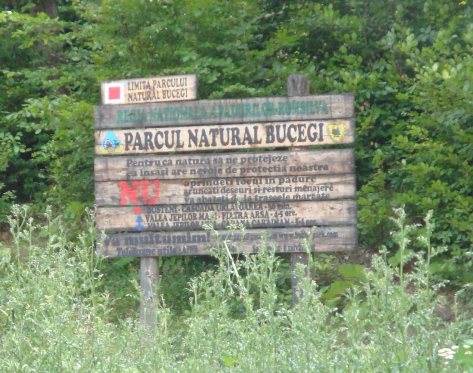Wooden sign with text 'Parcul Natural Bucegi' in Romanian, mounted on posts with green vegetation in background