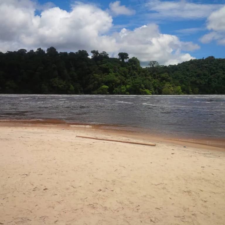Orilla arenosa de aguas tranquilas, bosque verde y denso en la orilla opuesta y cielo azul con nubes dispersas