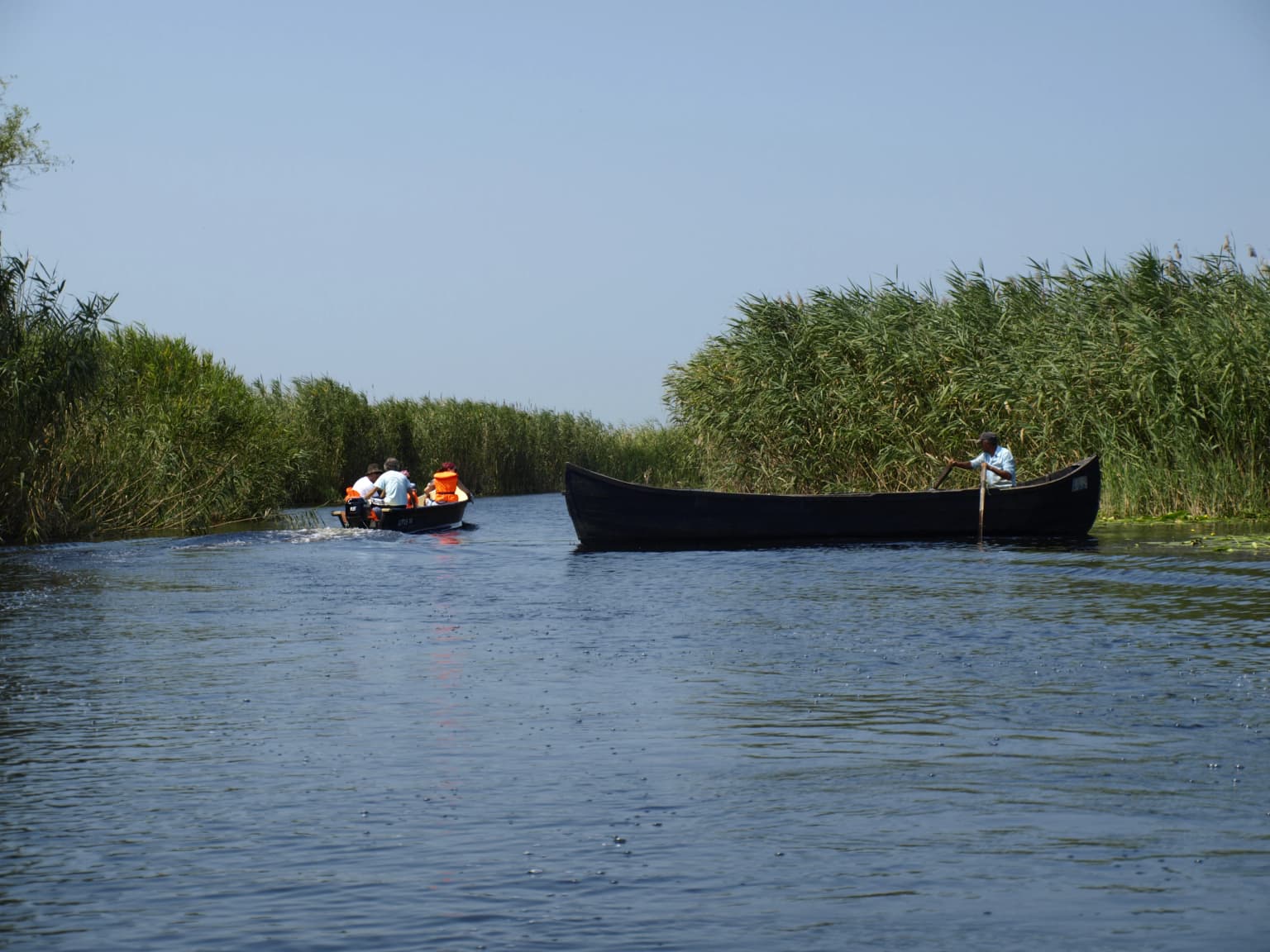Two boats on a river surrounded by tall reeds under a clear sky