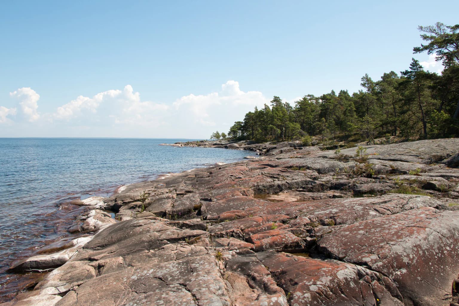 Rocky shoreline with scattered boulders along a calm lake, bordered by dense forest and clear blue sky