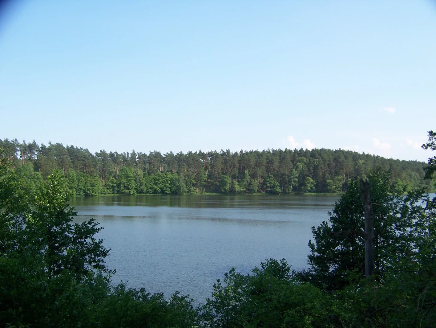 Calm lake surrounded by dense forest under clear blue sky
