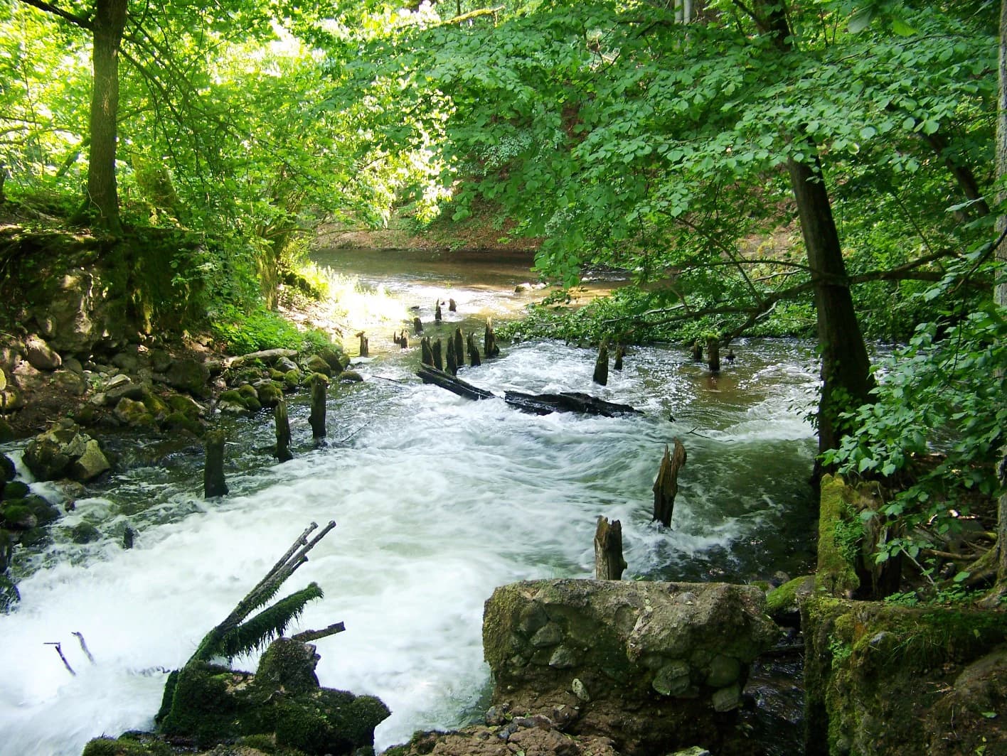 A river with flowing water surrounded by dense green forest and wooden posts from an old coal mine ruin