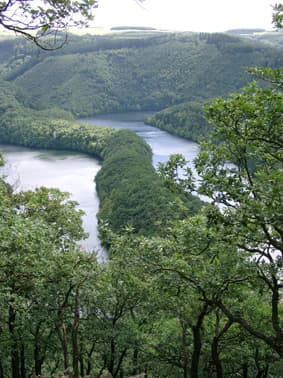 River flowing through dense forested hills with rolling terrain in Eifel National Park