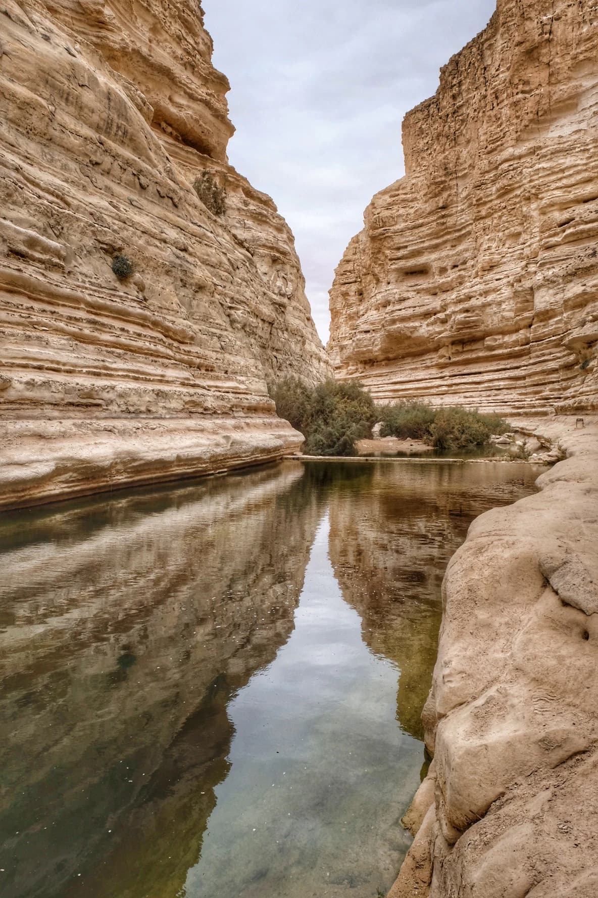 Un estrecho canal de cañón con aguas tranquilas que reflejan acantilados de arenisca en capas, rodeado de terreno rocoso y vegetación escasa