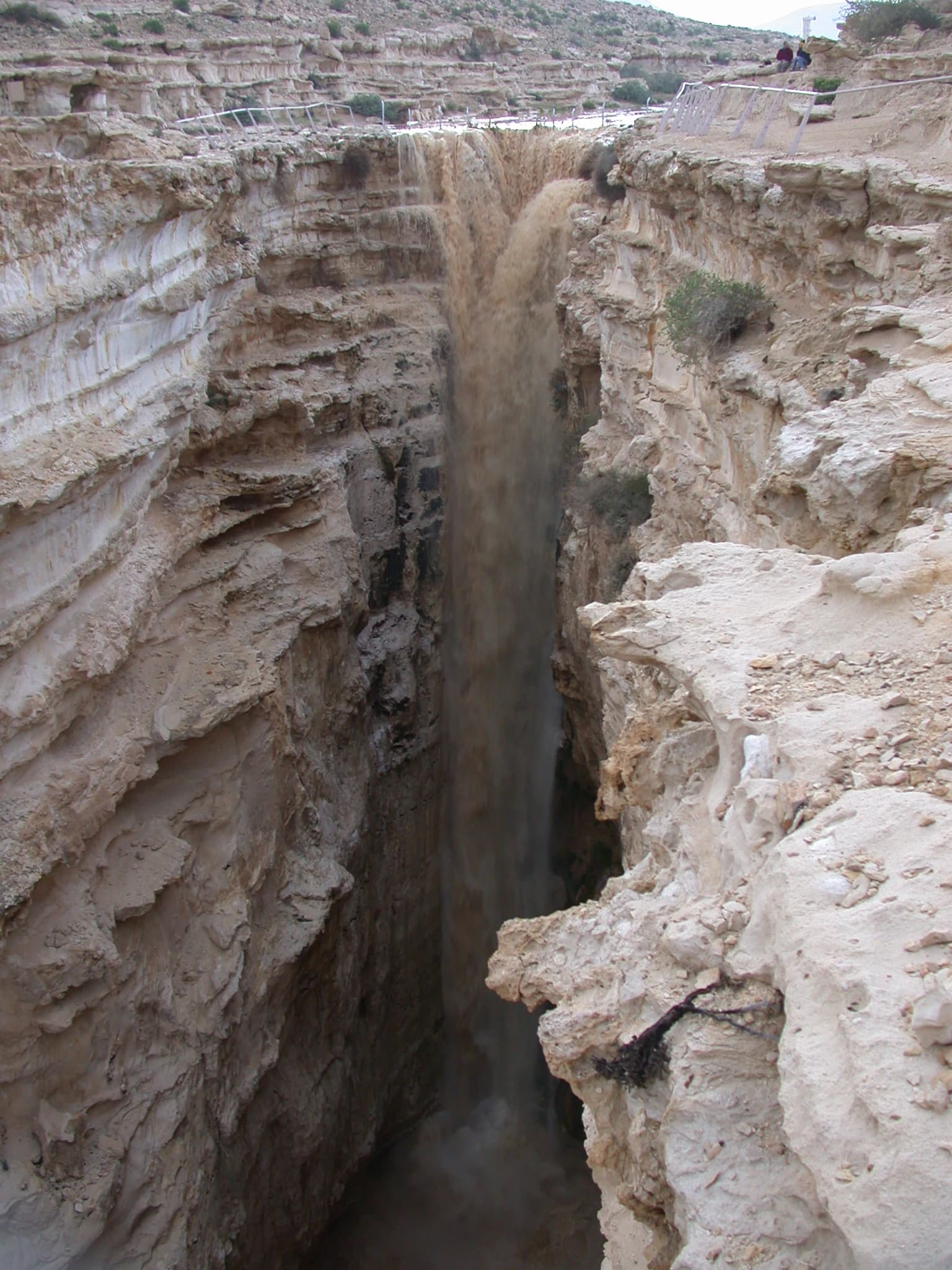 Agua turbia fluyendo a través de un profundo cañón con paredes rocosas en Ein Avdat, Israel