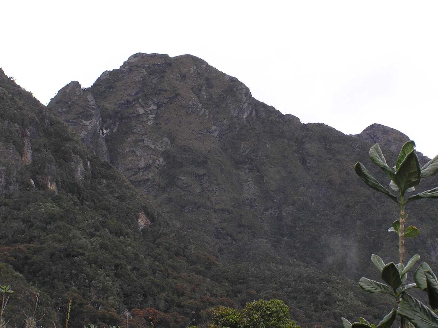 Cima de montaña con laderas rocosas y bosque denso debajo, vista desde la distancia