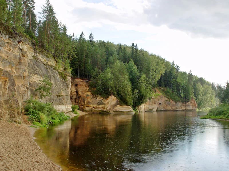 River flowing alongside tall sandstone cliffs with dense forest on the cliff tops