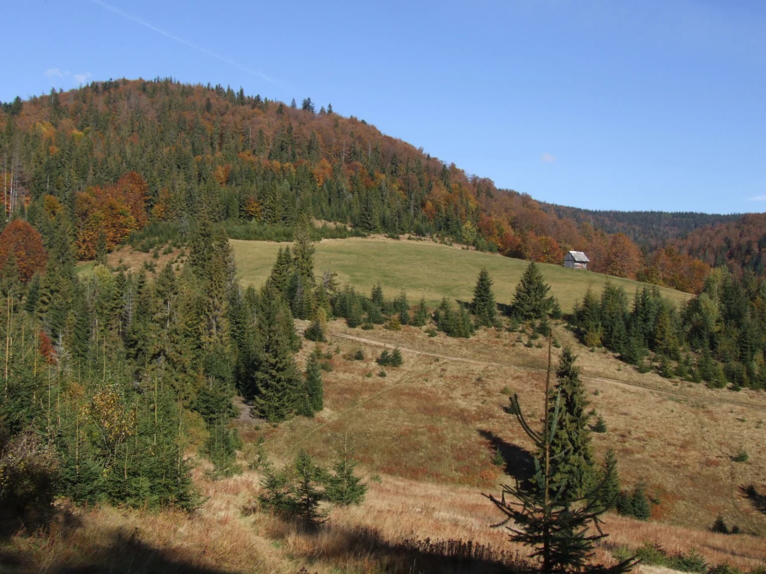 Wide landscape view of Gorce National Park showing forested hills, meadow, and clear blue sky