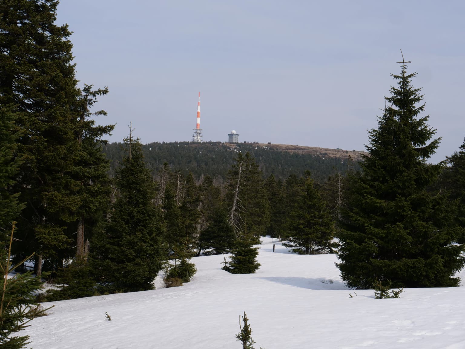 Snow-covered mountain landscape with evergreen trees and a tall communication tower on a distant hill