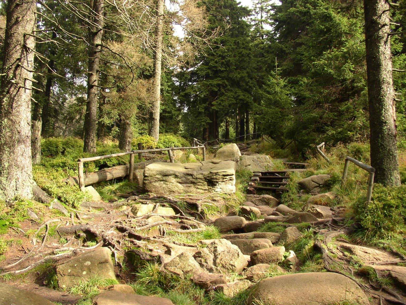 Forest trail with stone steps, wooden railings, and large boulders surrounded by trees and vegetation