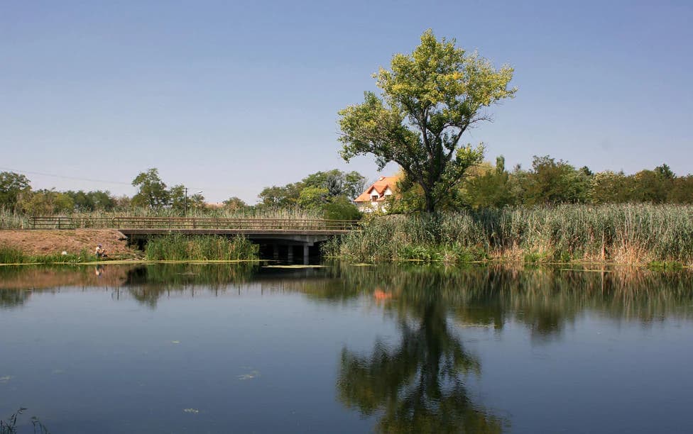 A bridge spanning a calm lake with reeds and a tree in the foreground, reflecting in the water under a clear blue sky