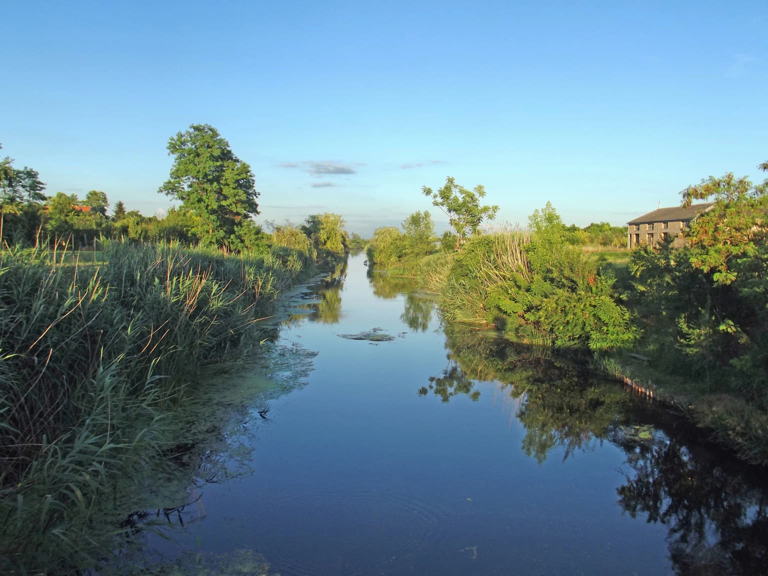 A calm river flowing through a natural landscape with tall reeds on the left, dense green trees and bushes on both banks, and a clear blue sky. The water reflects the vegetation and sky.