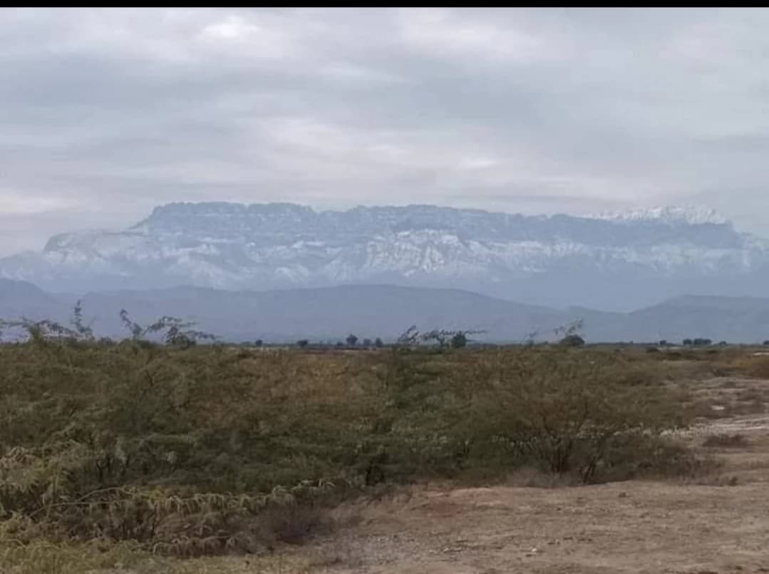 Mountain range with snow-capped peaks under overcast sky, foreground vegetation, and dirt path