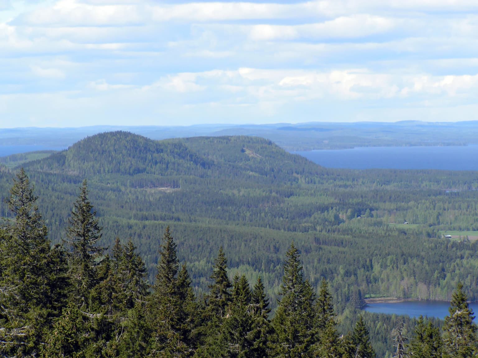 Wide landscape view showing dense coniferous forest, rolling hills, and a large lake under a partly cloudy sky