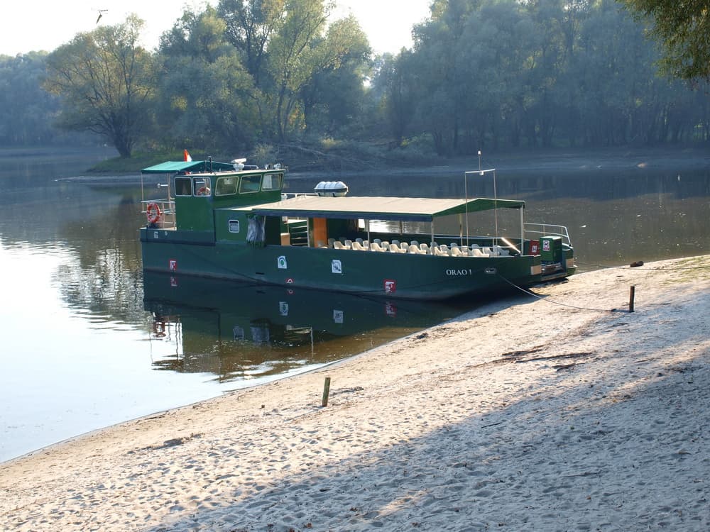 Green tour boat with canopy docked at sandy riverbank, calm water reflecting boat, trees in background