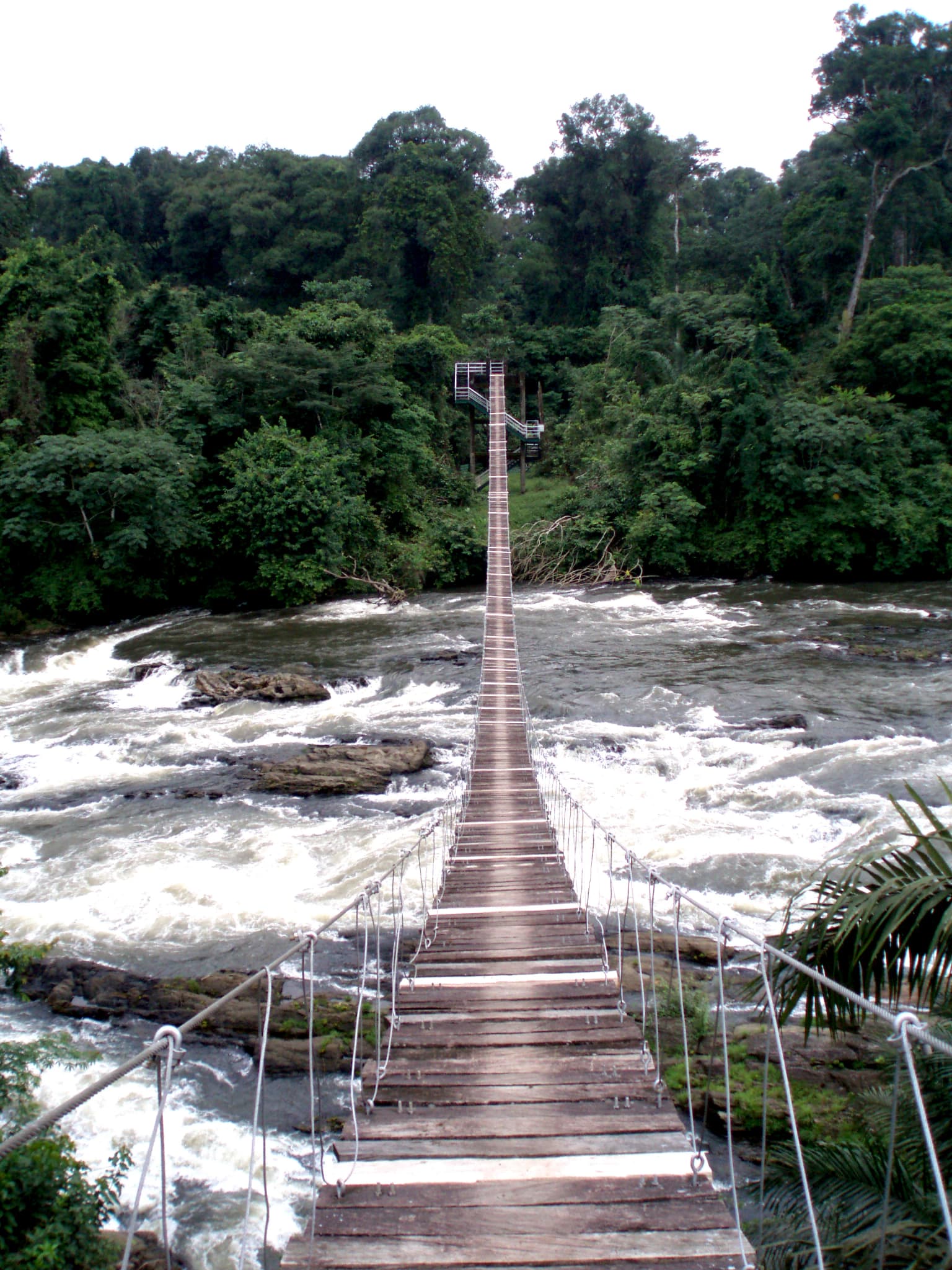 Puente colgante de madera que cruza un río caudaloso con un denso bosque de fondo