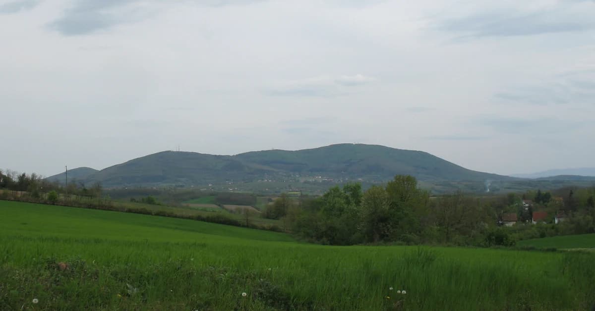 Green fields, trees, and a mountain under a cloudy sky.