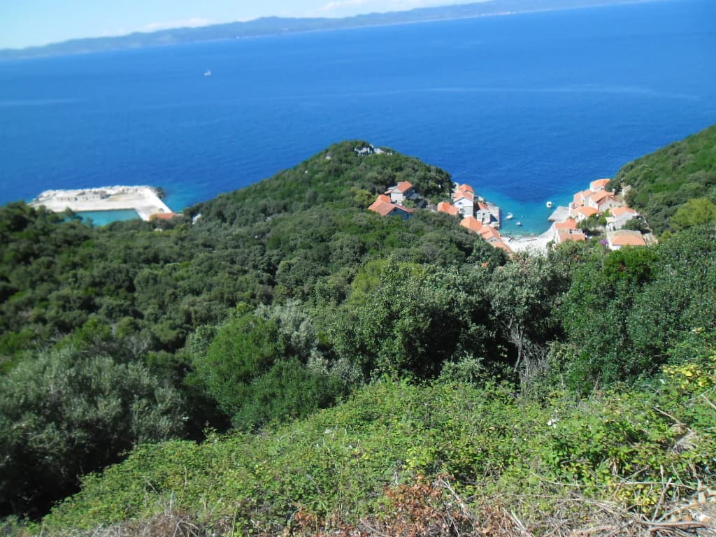 Panoramic coastal view showing a small bay with red-roofed buildings, dense green vegetation, and deep blue sea