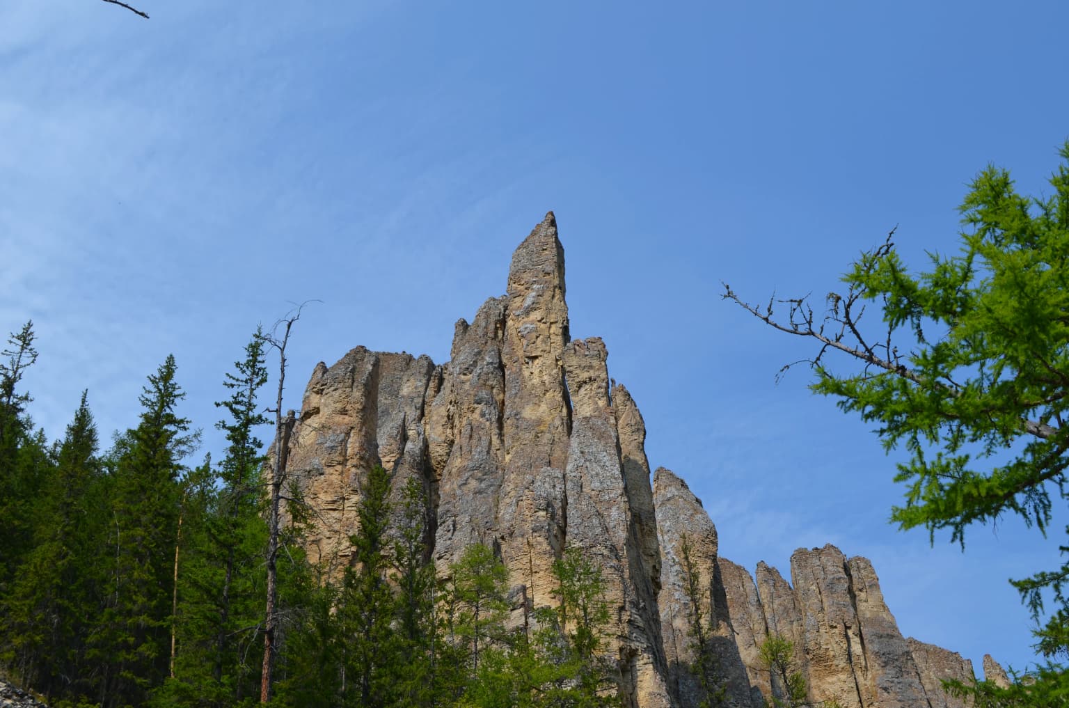 Tall rock pillars rising against a clear blue sky, surrounded by green coniferous trees