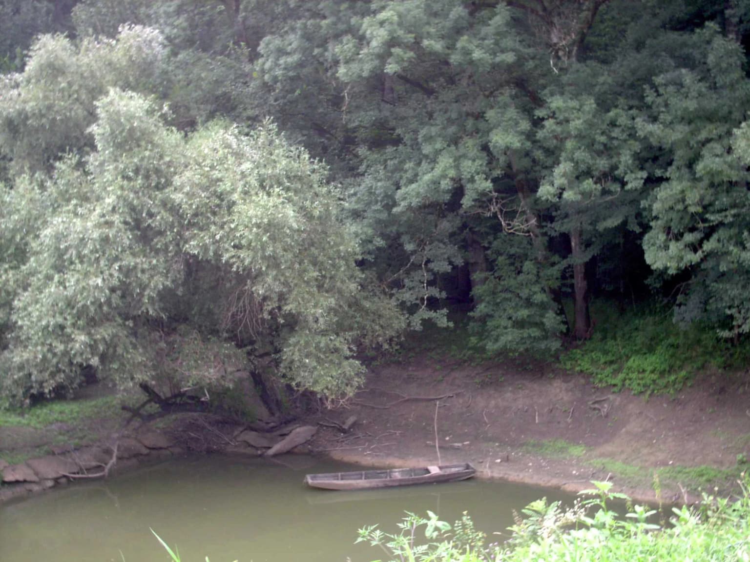 A calm river with a small boat anchored near a forested bank, surrounded by dense green trees and vegetation