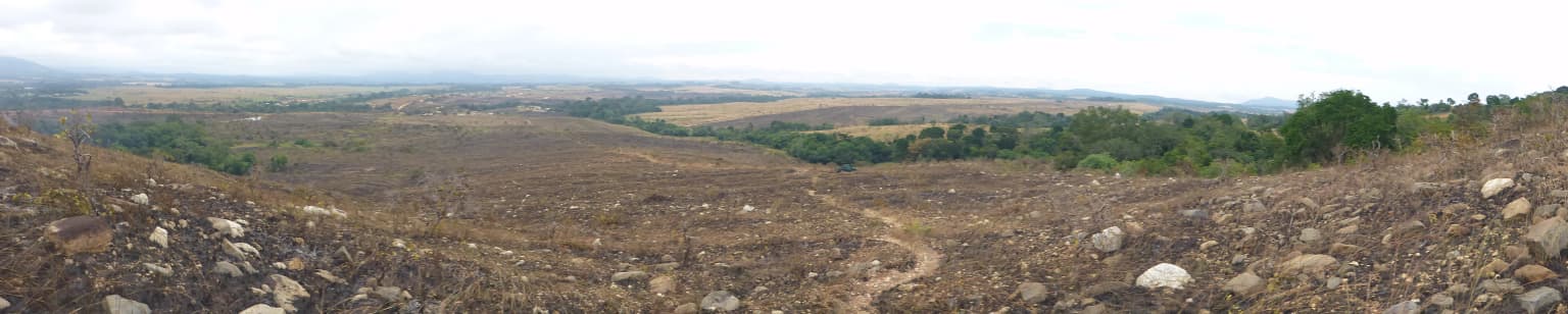 Wide panoramic view of Lopé National Park with burnt terrain, rocky foreground, dirt path, and distant green forest under overcast sky