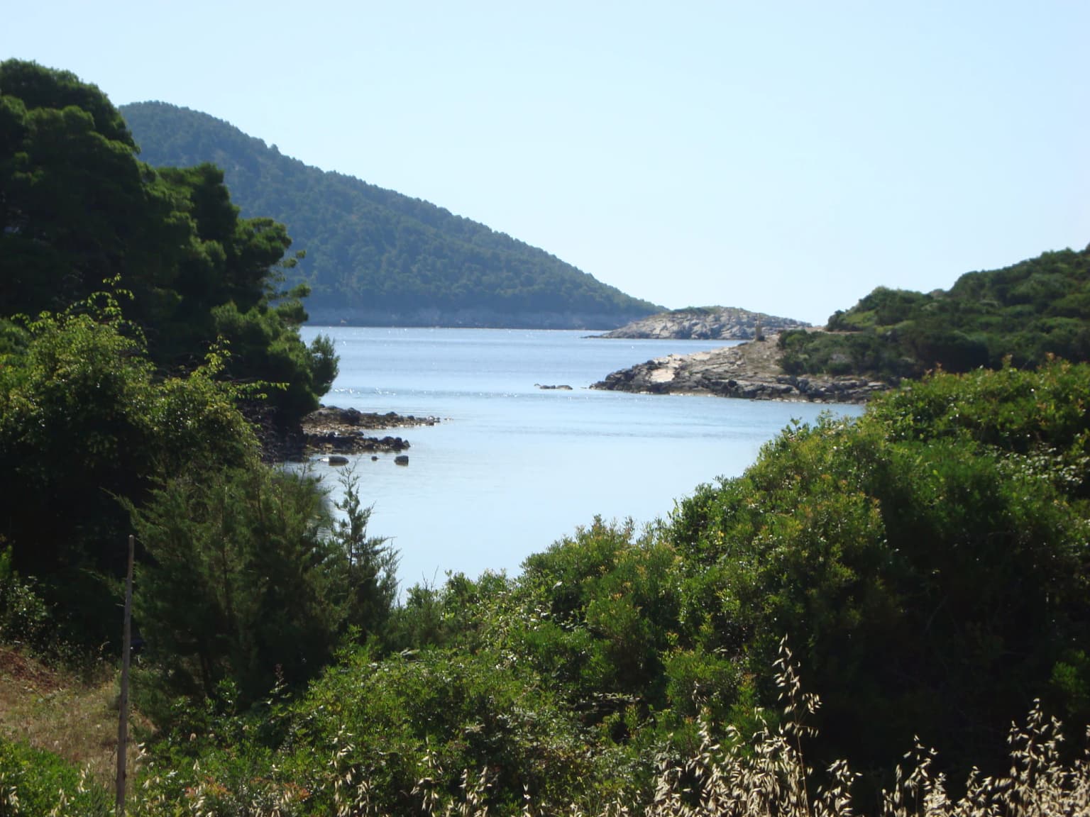 Lush green vegetation surrounding a calm body of water with rocky shoreline and distant hills under a clear sky