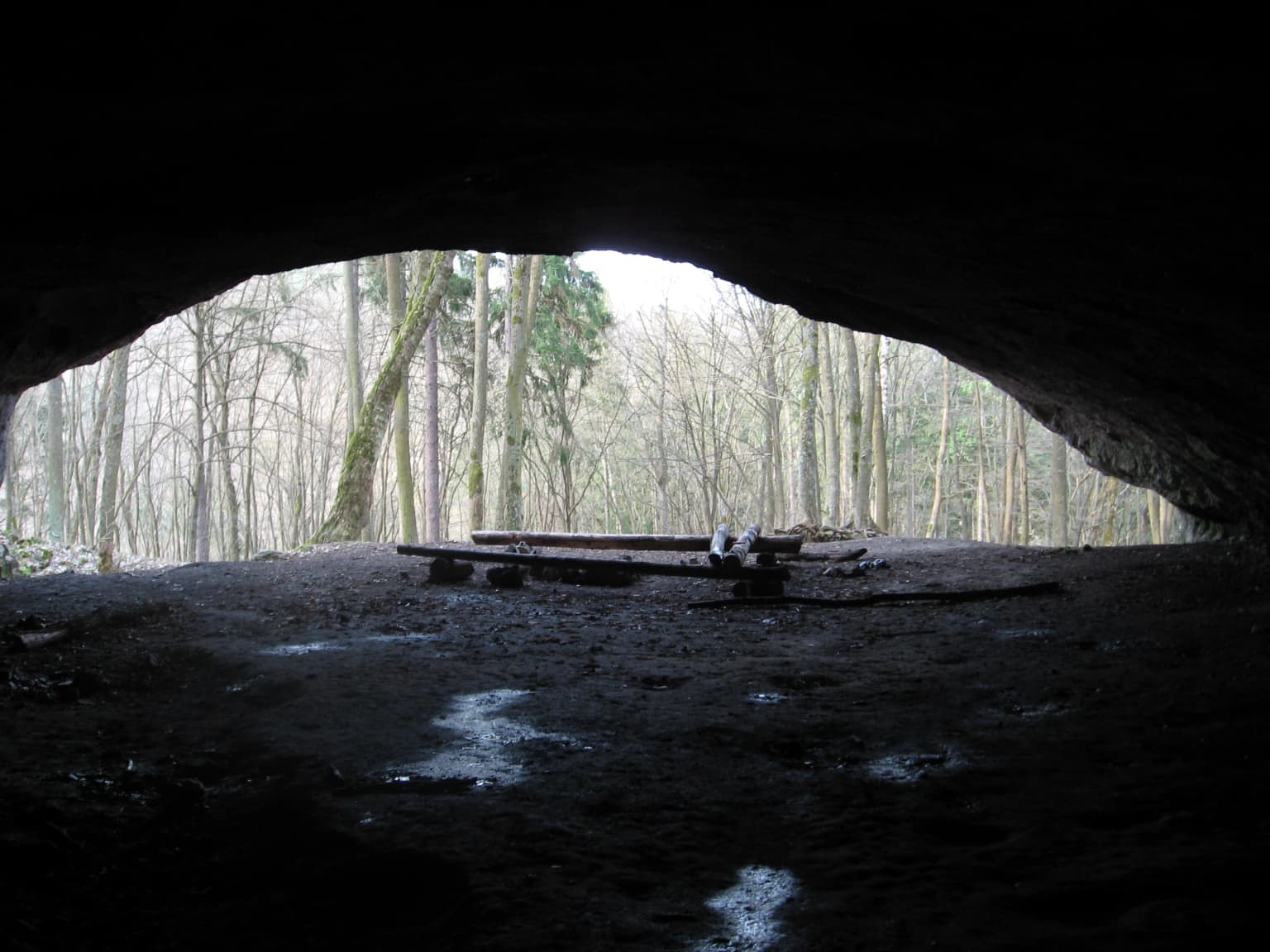 Dark cave entrance leading to a forested area with a wooden platform and puddles on the ground inside