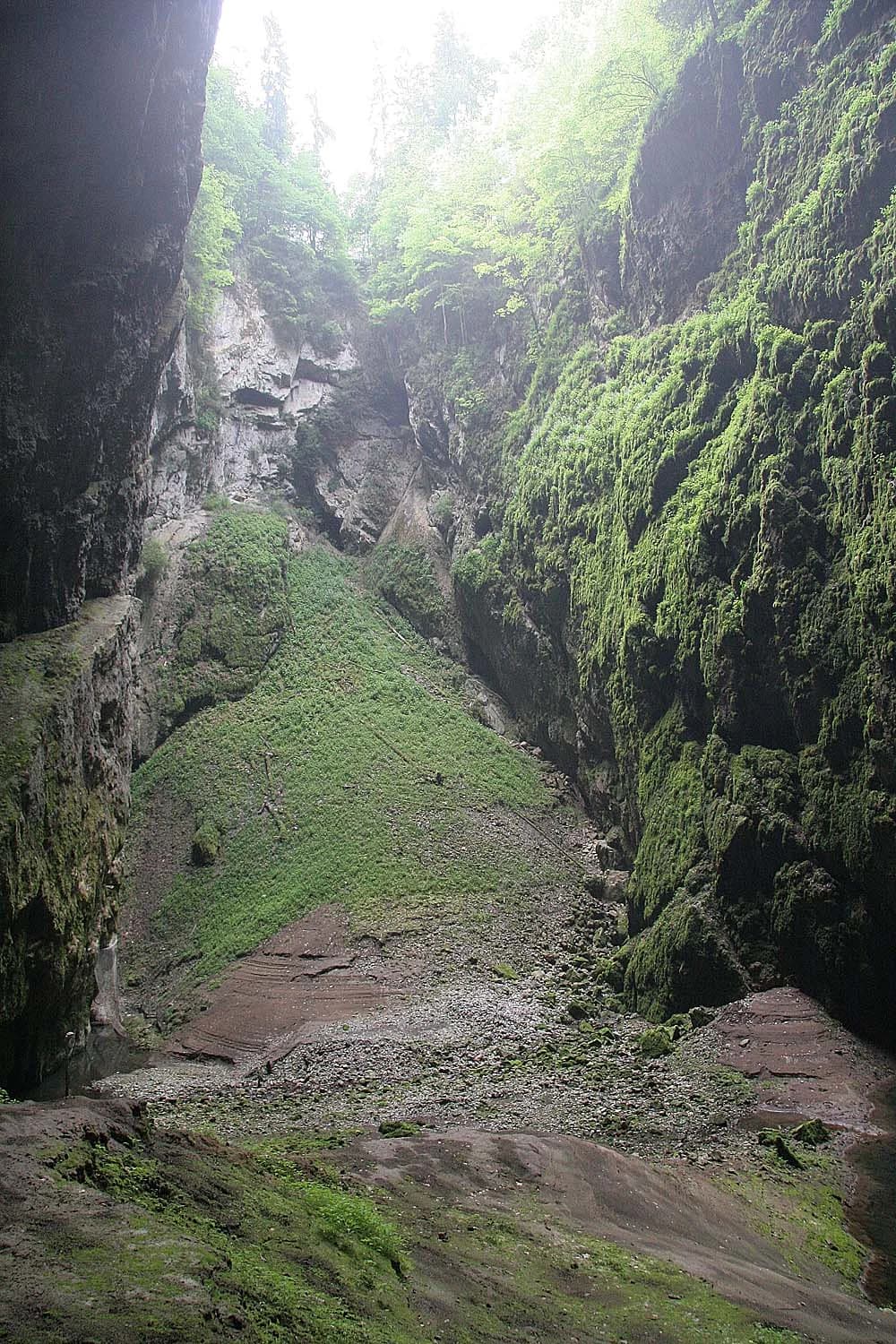 Steep moss-covered cliffs and rocky terrain viewed from inside Punkva Cave exit, with grassy slope and small stream visible