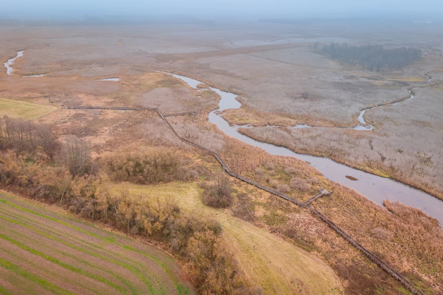 Aerial view of a winding river through a marshy landscape with adjacent agricultural fields and sparse trees