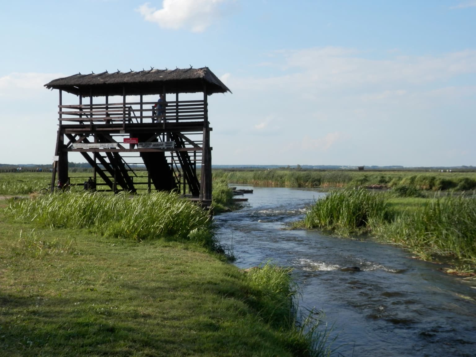 Wooden observation tower with stairs and railing beside a river, surrounded by tall grass and green meadows under a clear sky