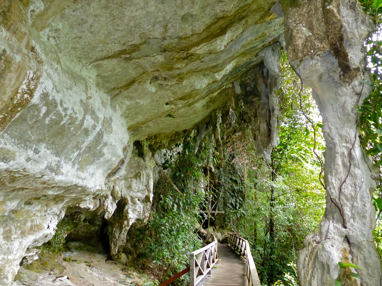 Cave entrance with wooden walkway, limestone rock formations, and lush green vegetation