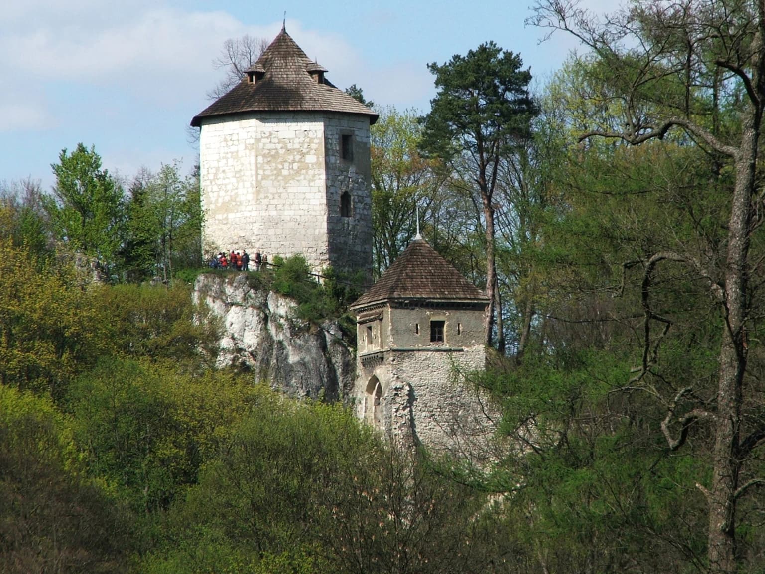 Stone towers on a rocky outcrop surrounded by forest