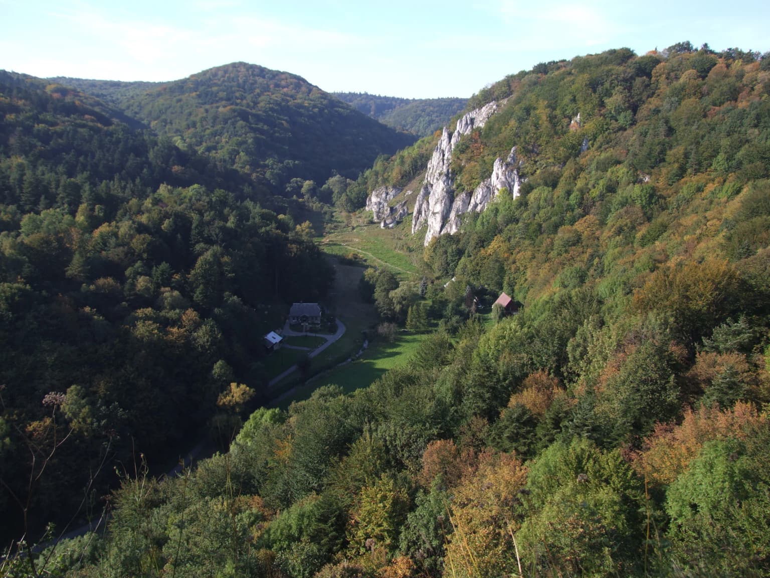 A scenic valley with lush green and autumn-colored trees, limestone cliffs on the right, and a winding path leading into the distance under a clear sky
