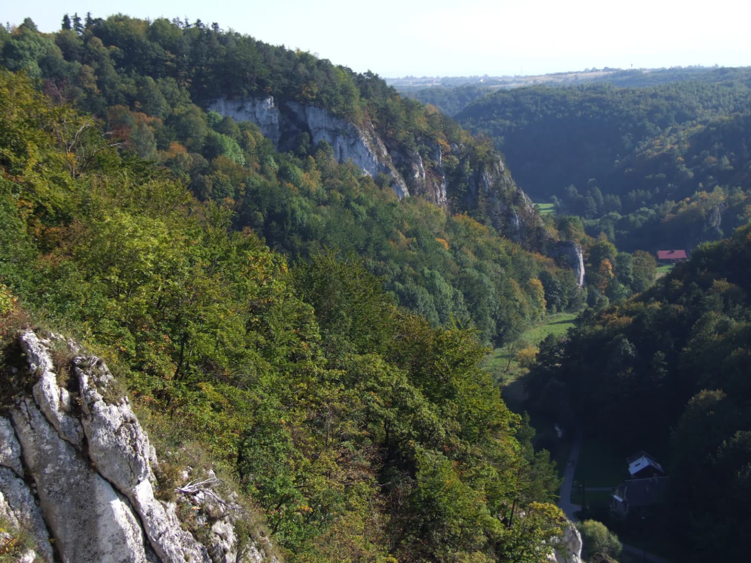 Wide landscape view showing limestone cliffs on left, forested hillsides, and valley floor with winding road