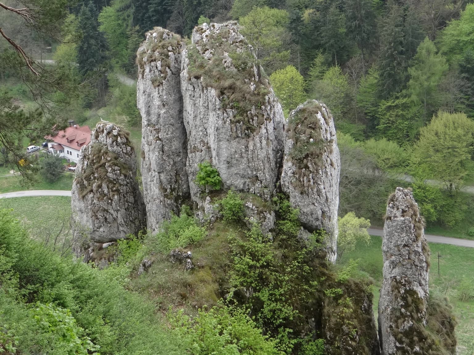 Tall limestone rock pillars with vegetation patches surrounded by green forest and a distant house