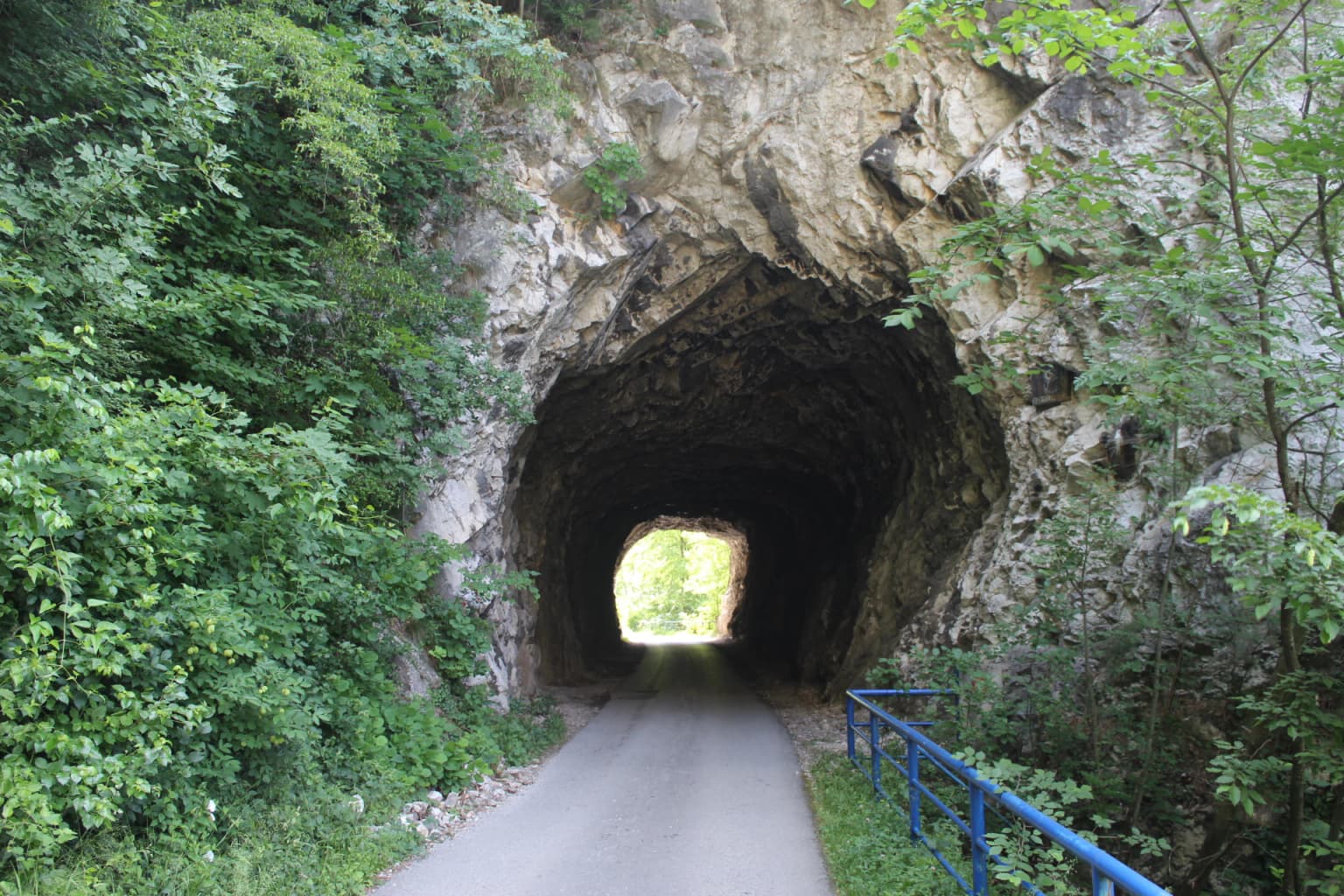 Road through tunnel carved in rocky cliffs with green vegetation on both sides.