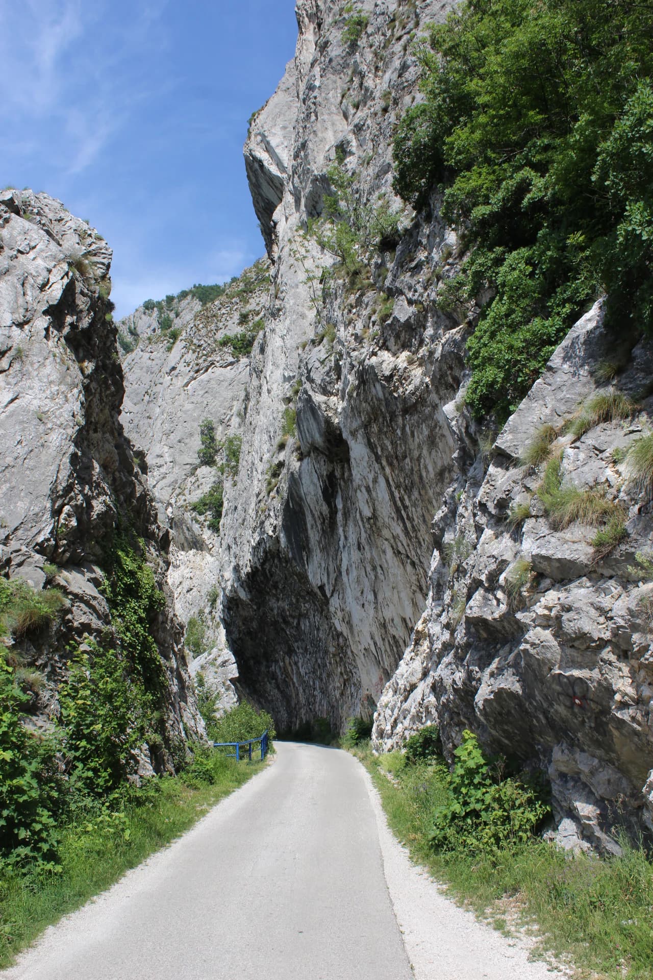 A paved road through a narrow gorge with steep rocky cliffs and green vegetation on both sides.