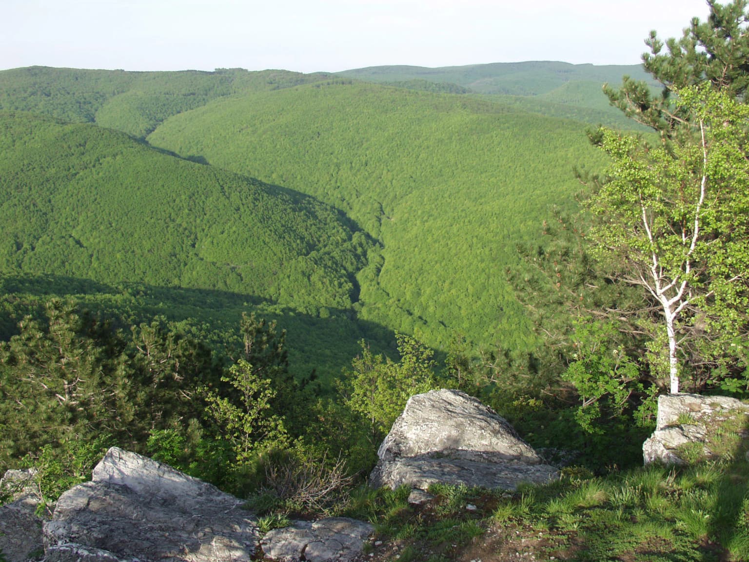 Wide view of Papuk Mountain with green valleys, scattered trees, and rocky outcrops under clear sky